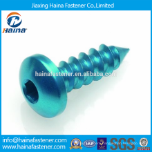 China Supplier Best Price colour anodized screw/aluminum screws its-021